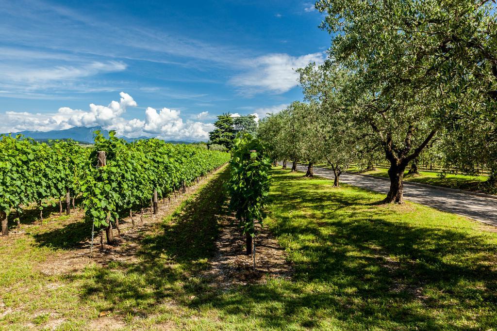 Quercia Belvedere Relais Bardolino Dış mekan fotoğraf